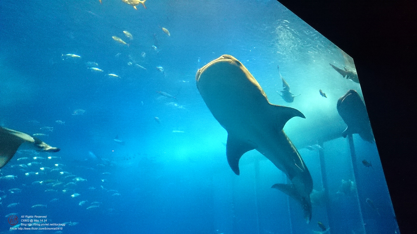 DSC_2889.jpg